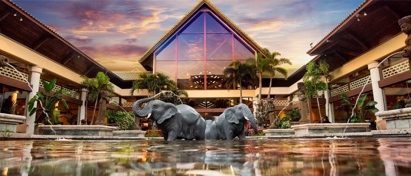 Pátio do Loews Royal Pacific Resort na Universal Orlando, com piscina e jardim tropical